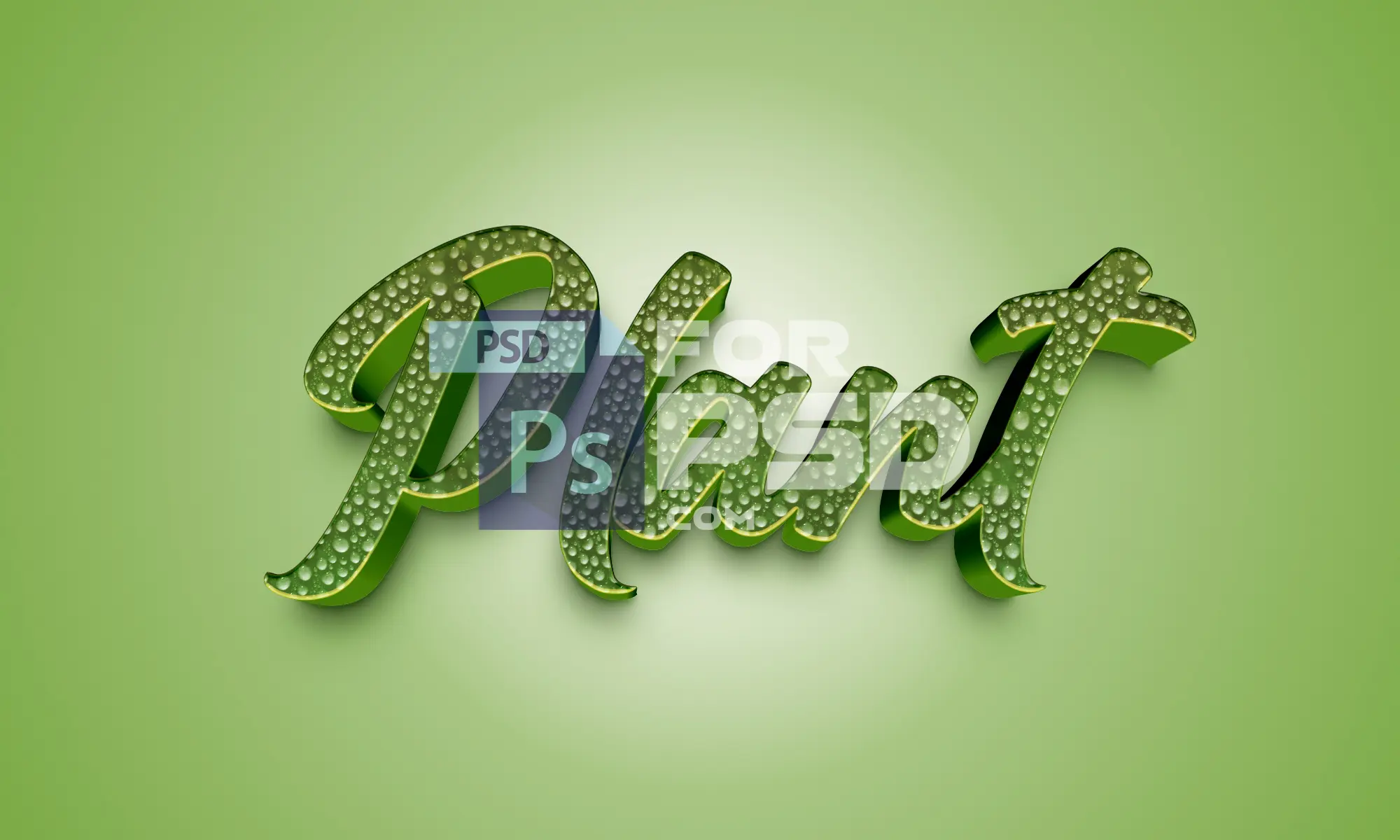 Image Preview